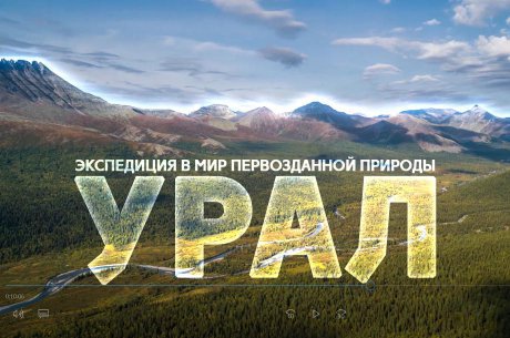 ���������� ��� ��������� � ������ ���������� ������ �����