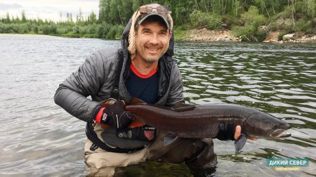 ��������� �����