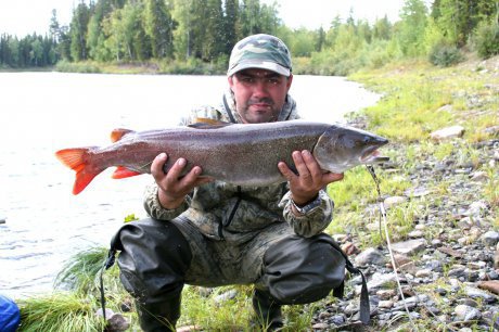 ����� ����� � �����. ��������� ���� �����-�. ����������� ����