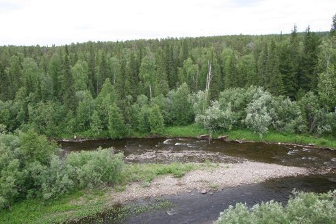 file/otcheti/lopsiya-2006/5_449.jpg
